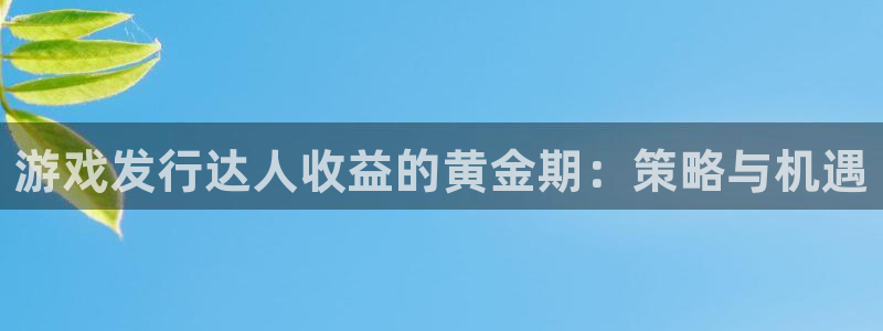 广东pp电子电子商务有限公司：游戏发行达人收益的黄金期：策略与机遇