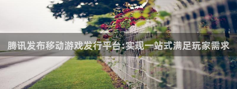 pp电子啤酒怎么样：腾讯发布移动游戏发行平台:实现一站式满足玩家需求