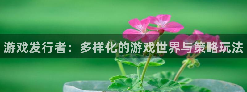 陕西pp电子子文化创意有限公司1：游戏发行者：多样化的游戏世界与策略玩法