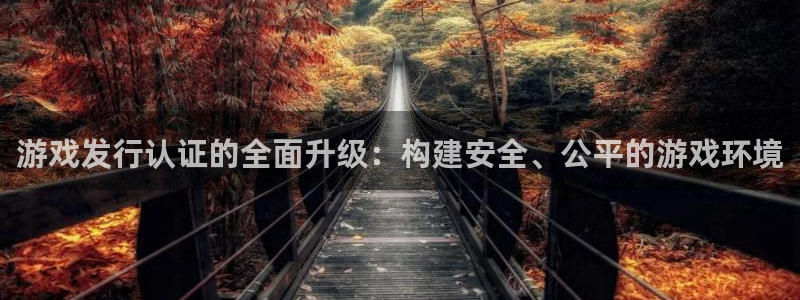 pp电子子经理人一共出了多少本：游戏发行认证的全面升级：构建安全、公平的游戏环境