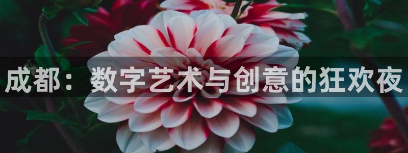 pp电子官网游戏