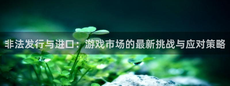 pp电子品牌顾问有限公司
