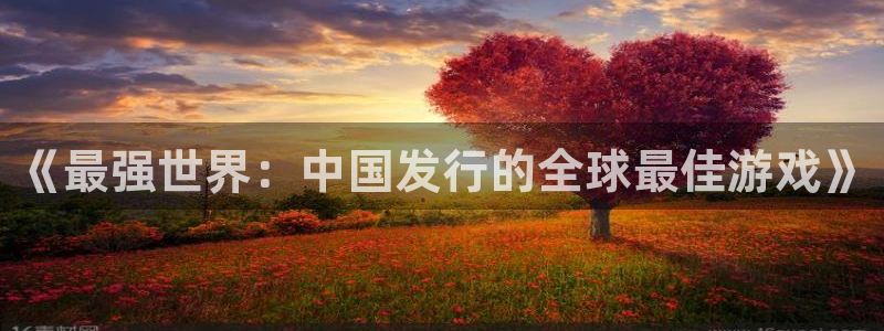 pp电子服装品牌：《最强世界：中国发行的全球最佳游戏》