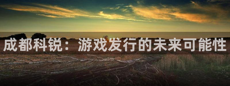 pp电子子经理人：成都科锐：游戏发行的未来可能性