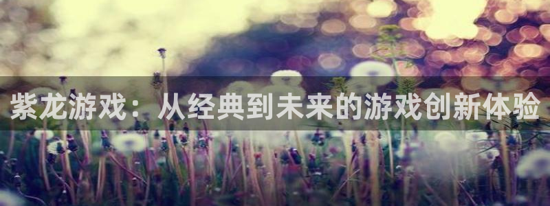 pp电子官网代理注册不了：紫龙游戏：从经典到未来的游戏创新体验