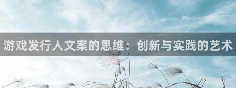 pp电子集团公司怎么样