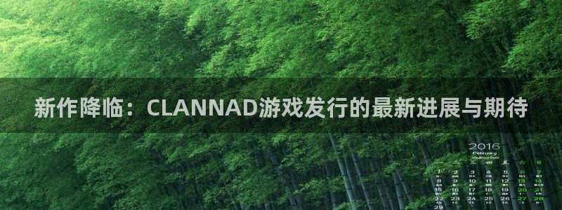 pp电子子代表什么意思：新作降临：CLANNAD游戏发行的最新进展与期待