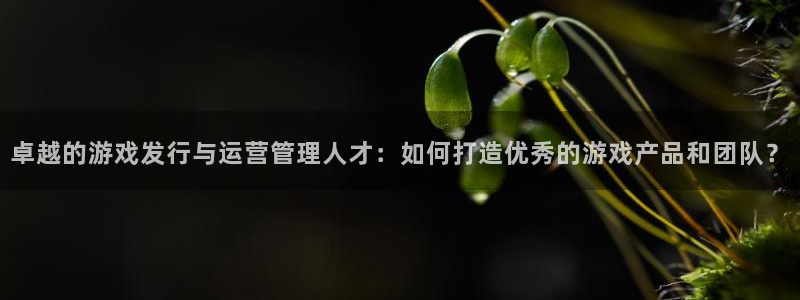 pp电子官网注册平台是什么