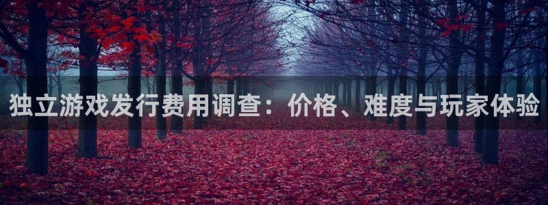 pp电子军团是哪个国家队：独立游戏发行费用调查：价格、难度与玩家体验