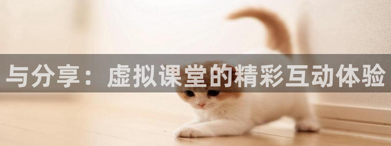 蜘蛛直播nba免费观看