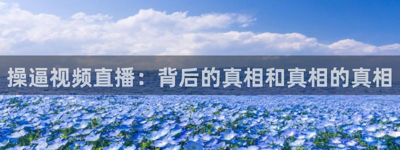 nba直播蜘蛛直播