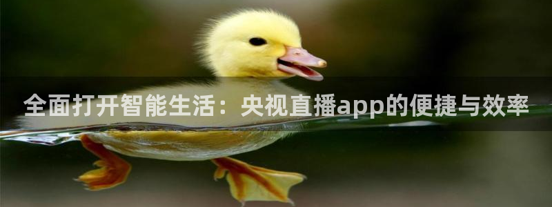 蜘蛛足球