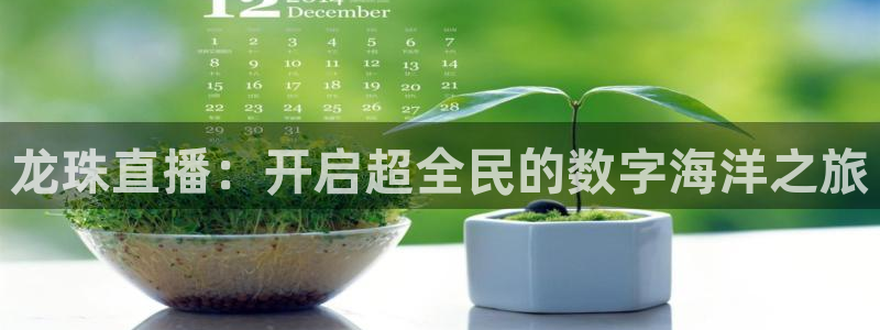 蜘蛛体育免费直播在线观看