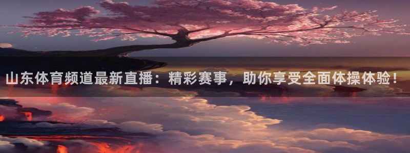 蜘蛛直播体育app