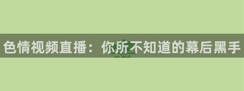蜘蛛nba免费直播在线观看高清
