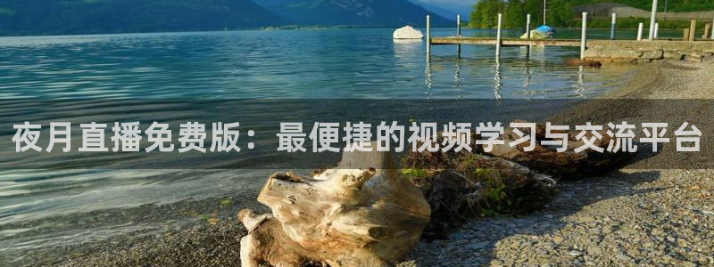 蜘蛛直播体育app：夜月直播免费版：最便捷的视频学习与交流平台