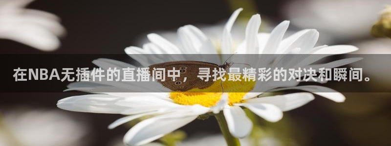 蜘蛛nba