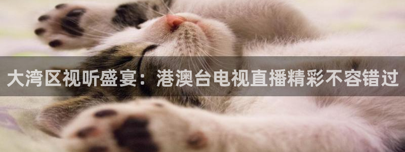 蜘蛛直播nba免费：大湾区视听盛宴：港澳台电视直播精彩不容错过