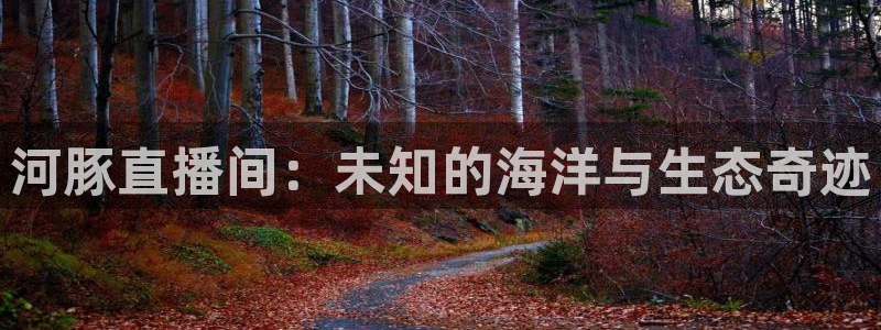 蜘蛛直播体育nba直播在线：河豚直播间：未知的海洋与生态奇迹