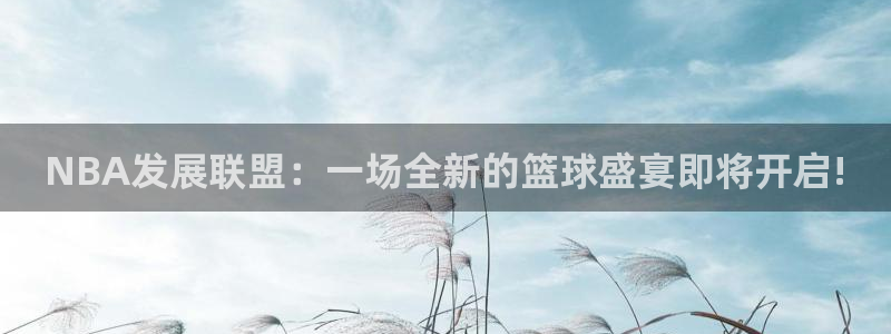 蜘蛛体育免费直播：NBA发展联盟：一场全新的篮球盛宴即将开启!