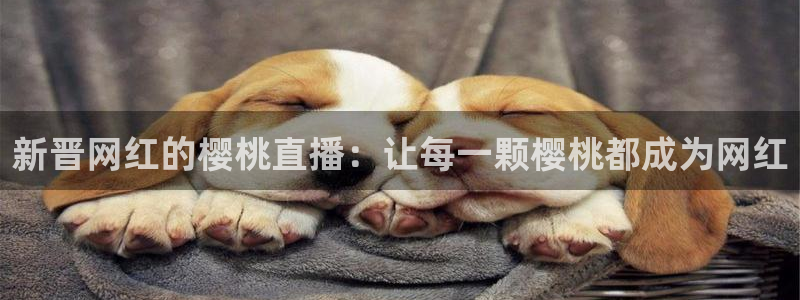 jrs蜘蛛直播球帝带：新晋网红的樱桃直播：让每一颗樱桃都成为网红