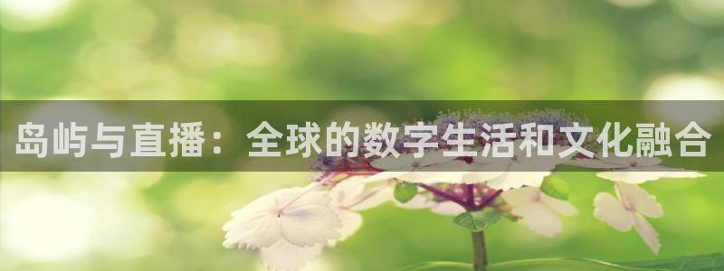 蜘蛛直播体育nba：岛屿与直播：全球的数字生活和文化融合