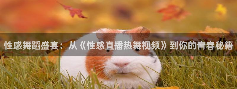 蜘蛛直播高清体育免费下载：性感舞蹈盛宴：从《性感直播热舞视频》到你的青春秘籍