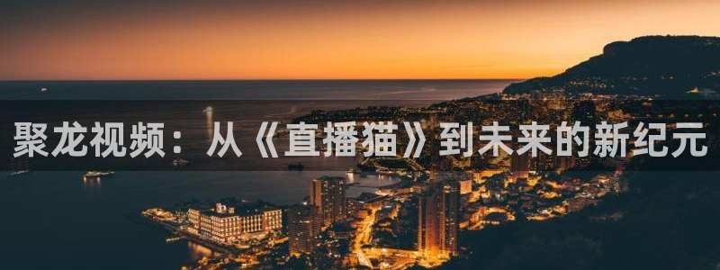 蜘蛛体育直播小狐狸：聚龙视频：从《直播猫》到未来的新纪元