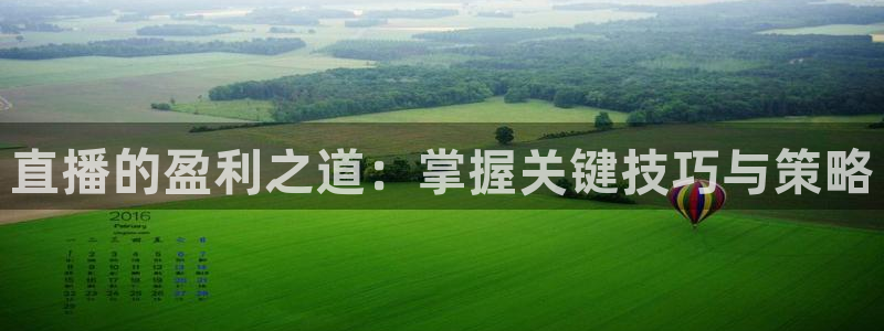 jrs直播nba(无插件)直播蜘蛛直播：直播的盈利之道：掌握关键技巧与策略