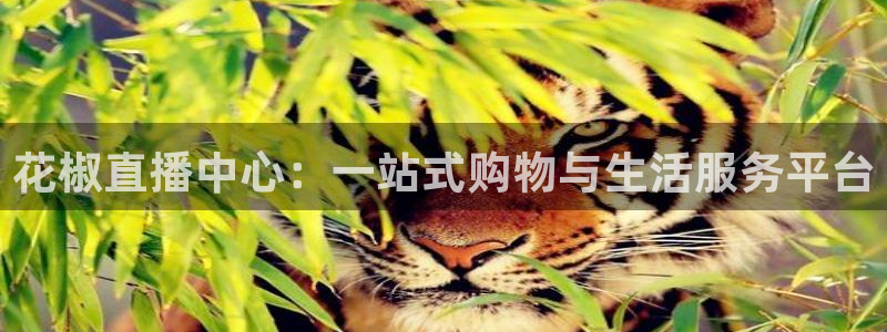 蜘蛛nba直播免费观看：花椒直播中心：一站式购物与生活服务平台