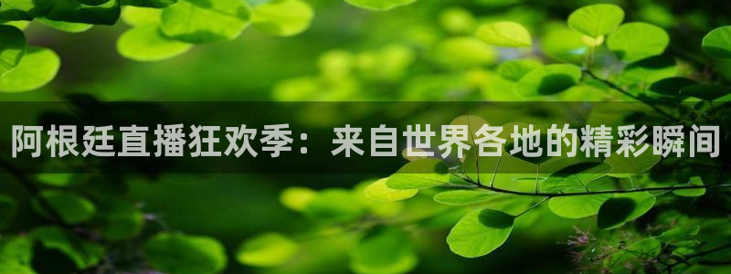 nba蜘蛛：阿根廷直播狂欢季：来自世界各地的精彩瞬间