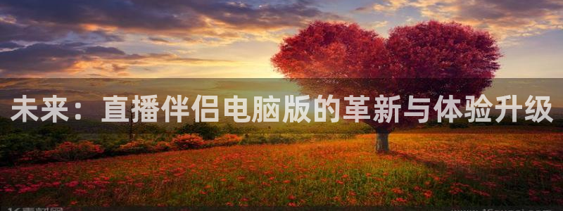 蜘蛛直播体育足球：未来：直播伴侣电脑版的革新与体验升级