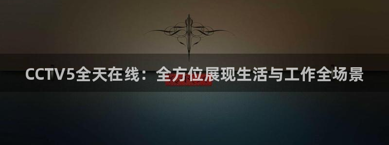 jrs蜘蛛直播nba免费：CCTV5全天在线：全方位展现生活与工作全场景